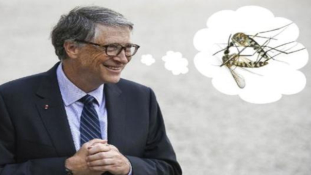 Fall of the CabalThe Bill Gates Foundation